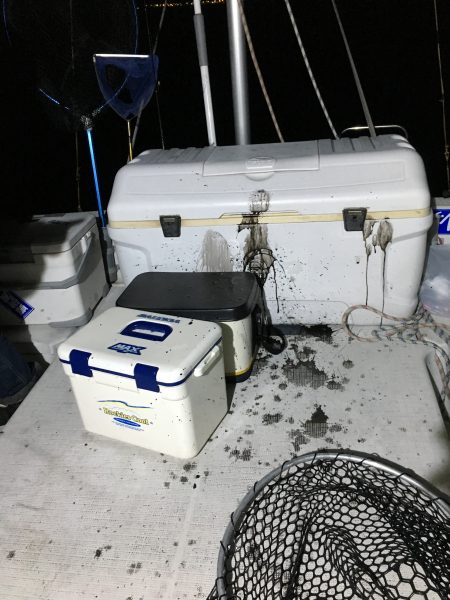 オーシャンズ 釣果