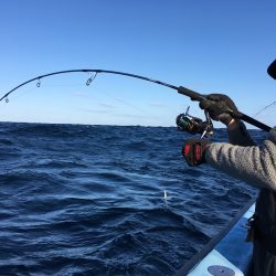 松鶴丸 釣果