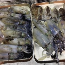 オーシャンズ 釣果