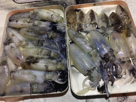 オーシャンズ 釣果