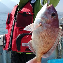 リトルワン 釣果