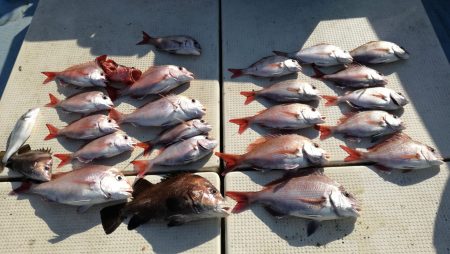 リトルワン 釣果