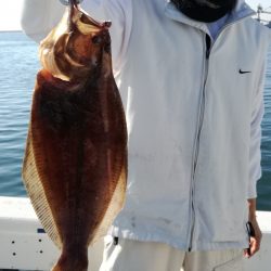 リトルワン 釣果