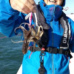 リトルワン 釣果