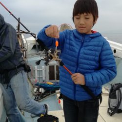 リトルワン 釣果