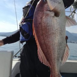 リトルワン 釣果