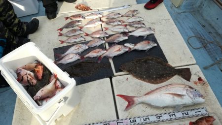 リトルワン 釣果