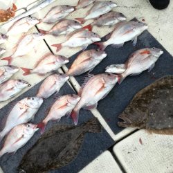 リトルワン 釣果