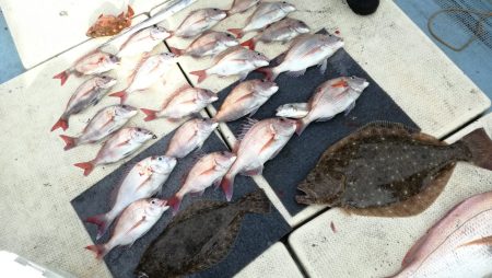 リトルワン 釣果