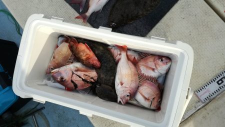 リトルワン 釣果