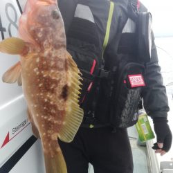 リトルワン 釣果