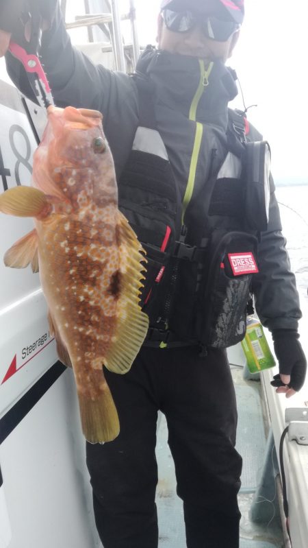 リトルワン 釣果