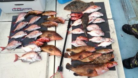 リトルワン 釣果