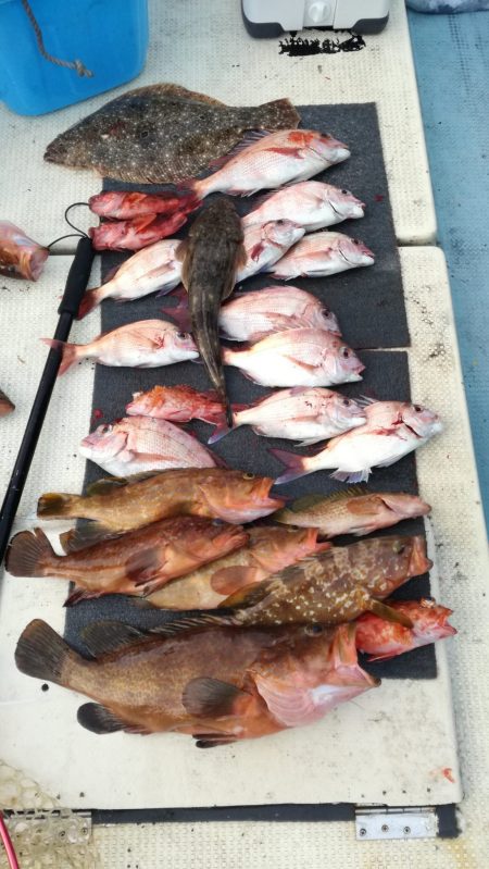 リトルワン 釣果