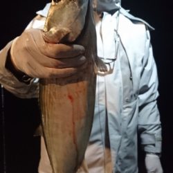 海晴丸 釣果