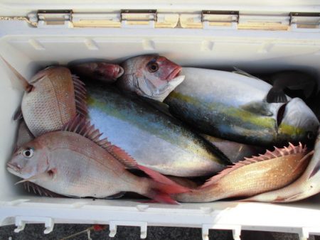 大進丸(新潟) 釣果