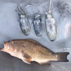 BlueOcean(ブルーオーシャン) 釣果