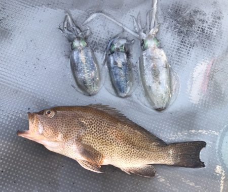 BlueOcean(ブルーオーシャン) 釣果