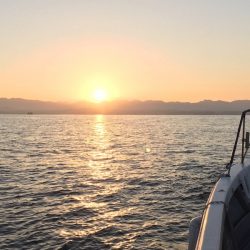 BlueOcean(ブルーオーシャン) 釣果