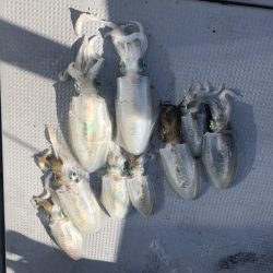 BlueOcean(ブルーオーシャン) 釣果