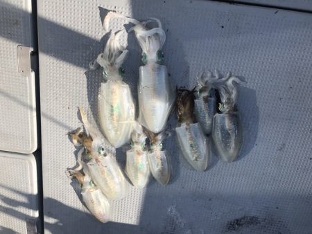 BlueOcean(ブルーオーシャン) 釣果