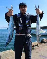 魚英 釣果
