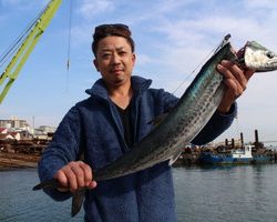 魚英 釣果