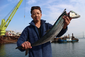 魚英 釣果