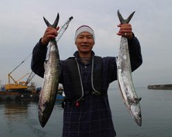 魚英 釣果
