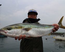 魚英 釣果