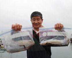 魚英 釣果