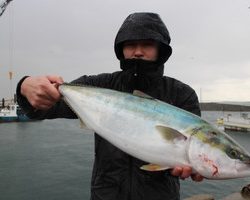魚英 釣果