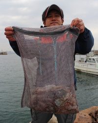 魚英 釣果