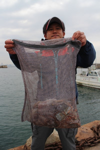 魚英 釣果