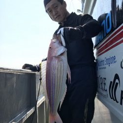 たいし丸 釣果