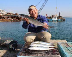 魚英 釣果
