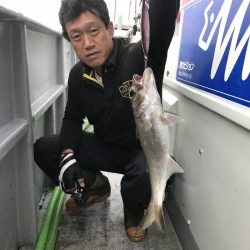 たいし丸 釣果