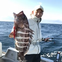 たいし丸 釣果