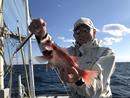たいし丸 釣果