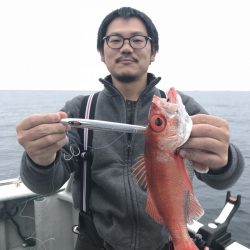 たいし丸 釣果