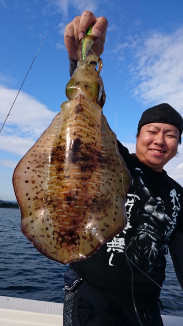海晴丸 釣果