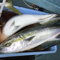 さとみ丸 釣果