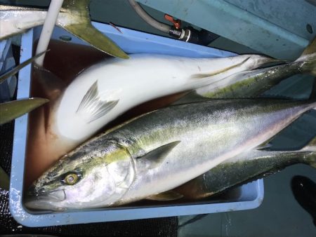 さとみ丸 釣果