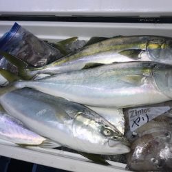 さとみ丸 釣果