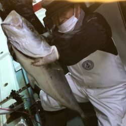 さとみ丸 釣果
