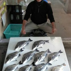 ふじや釣舟店 釣果