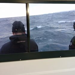 フィッシングボートACE(エース) 釣果