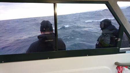 フィッシングボートACE(エース) 釣果