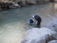 秩父フライフィールド 釣果