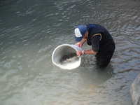 秩父フライフィールド 釣果